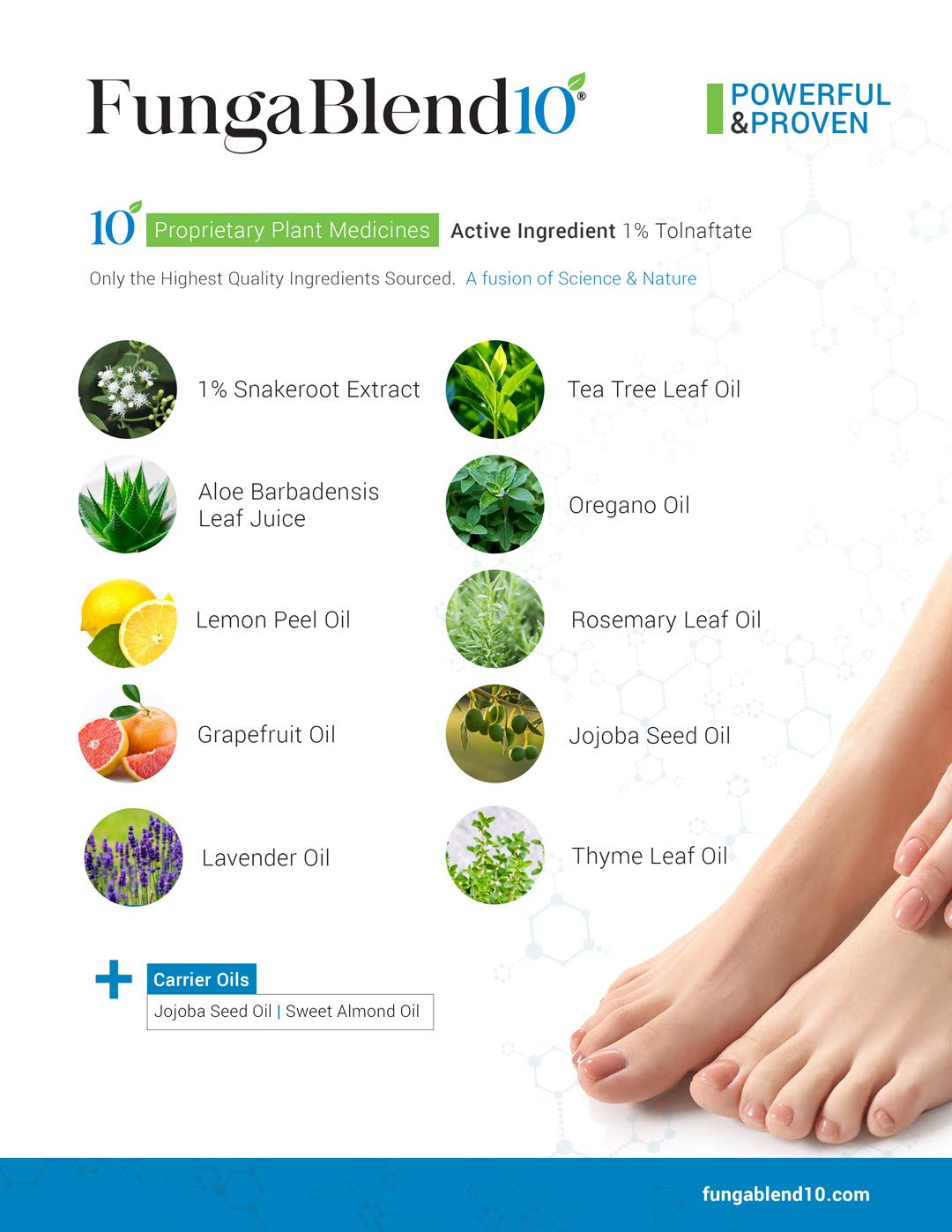 FungaBlend 10 - Antifungal Medication:1% Tolnaftate and 10 Plant Medicines -Toenail Fungus Treatment for Nail Repair Gel, Athlet