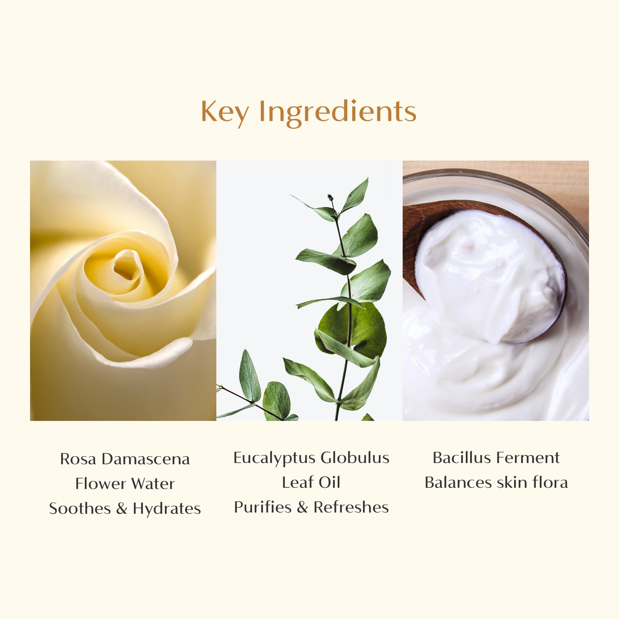 CAELA Feminine Wash Gel pH Balanced with Lactobacillus, Vegan Intimate Care, Damask Rose for Sensitive Skin, Korean Beauty, 6.76