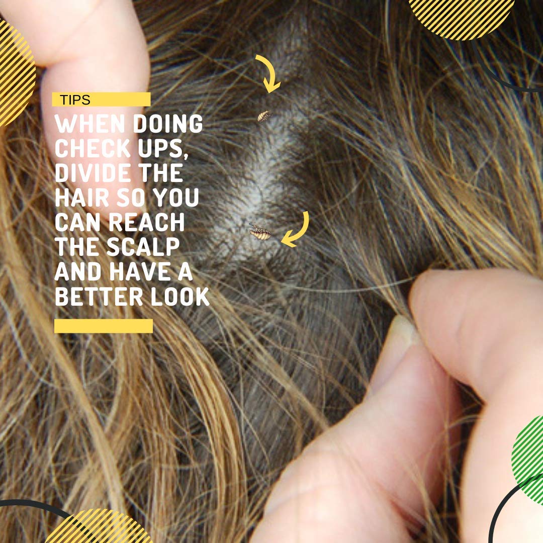 Lice Shampoo | Helps Eliminate Lice, Super Lice & Nits | Repels & Prevents | Pesticide Free | 100% Natural | Tea Tree + Coconut