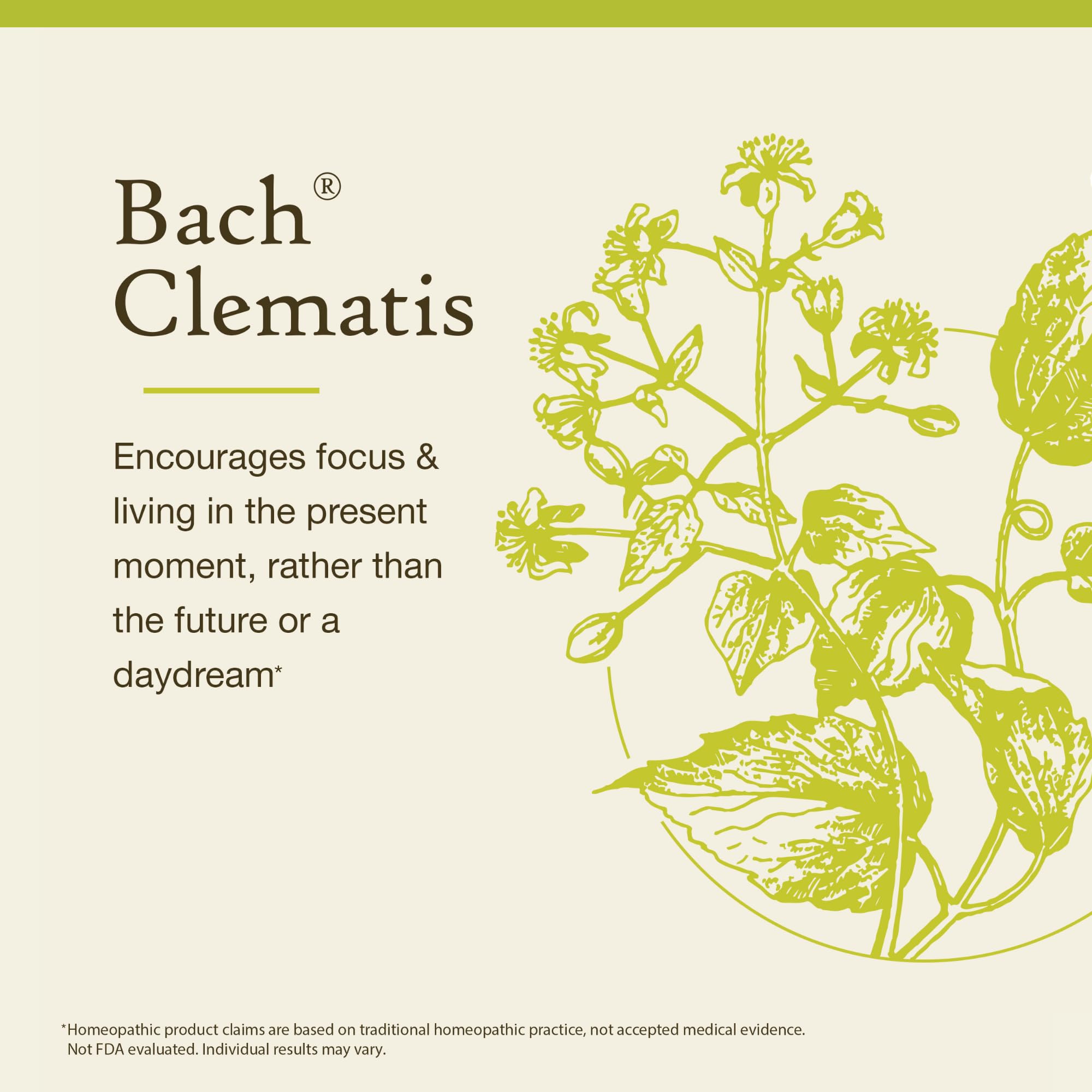 Bach Original Flower Remedies clematis 20ml