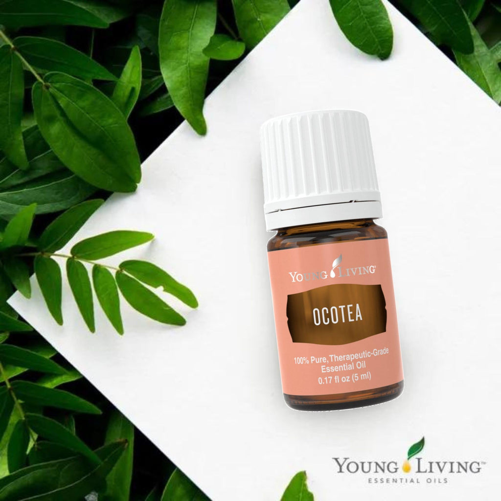 Young Living - Ocotea Essential Oil 5 ml | Used Traditionally in Spiritual Cleansing Rituals | Warm & Spicy Aroma | Cleanses Ski