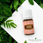 Young Living - Ocotea Essential Oil 5 ml | Used Traditionally in Spiritual Cleansing Rituals | Warm & Spicy Aroma | Cleanses Ski