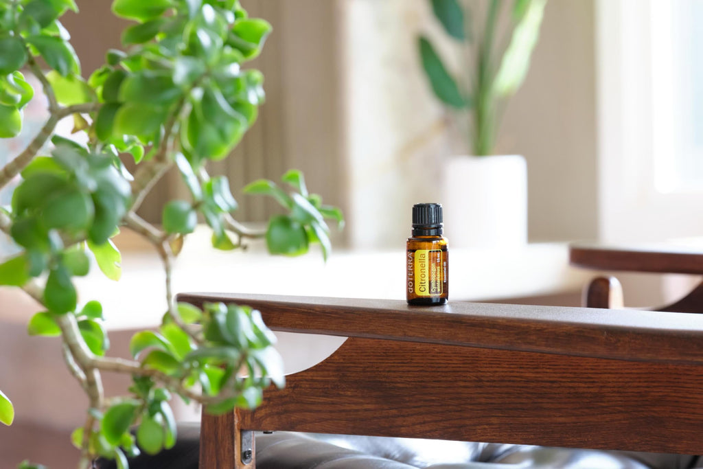 doTERRA Citronella Oil Cymbopogon winterianus