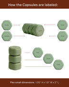 Cadence Travel Containers - Pill Case Set - Magnetic Travel Capsules - A Daily Pill Box for Supplements & Vitamins - Contains 7