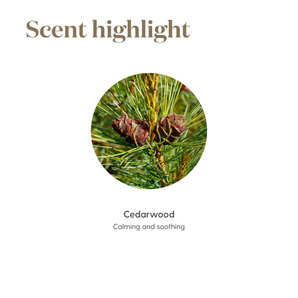Young Living Cedarwood Essential Oil 15ml, for Healthy Skin, Hair, and Scalp, Unlock the Power of Pure, Calming and Soothing