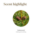 Young Living Cedarwood Essential Oil 15ml, for Healthy Skin, Hair, and Scalp, Unlock the Power of Pure, Calming and Soothing