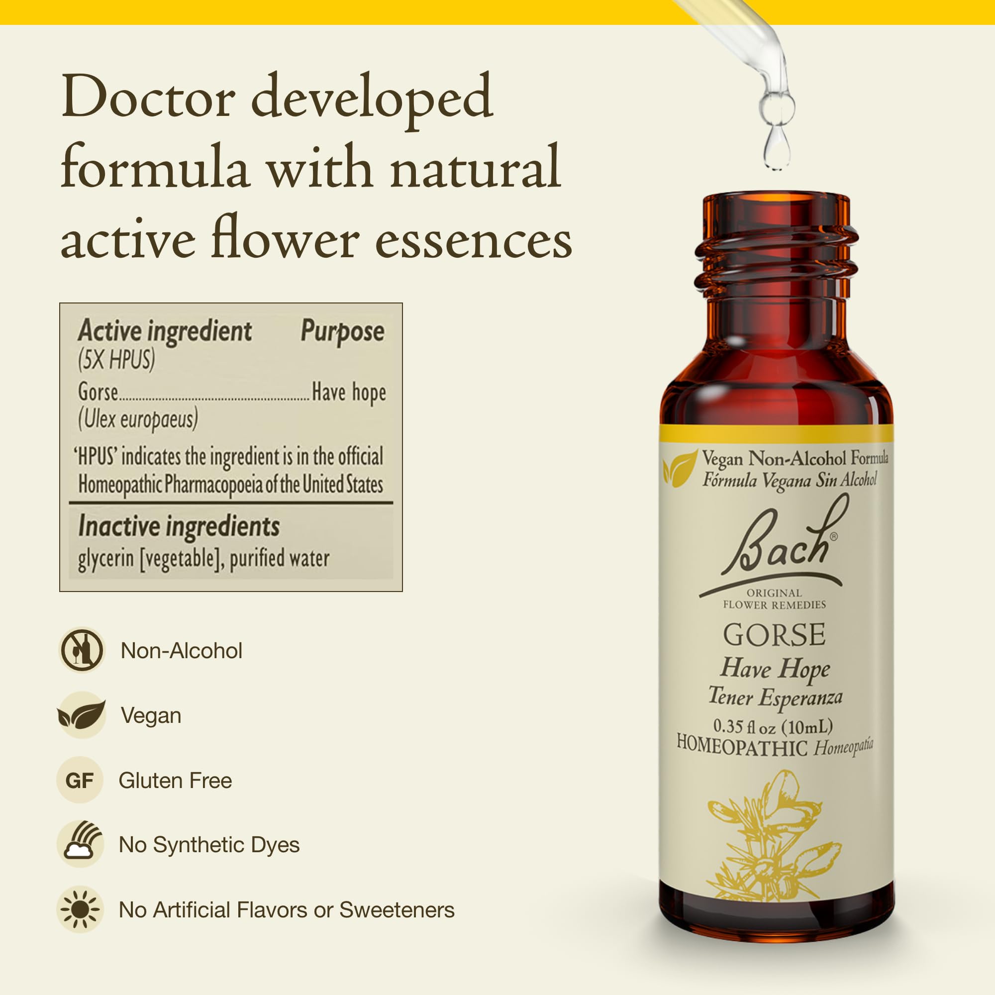 Bach Original Flower Remedies, Gorse (Non-Alcohol Formula) - Have Hope - Natural Homeopathic Flower Essence for Emotional Balanc