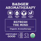 Badger - Headache Soother, Aromatherapy Balm Stick, Certified Organic, Headache Relief Aromatherapy Oil, Peppermint Eucalyptus &
