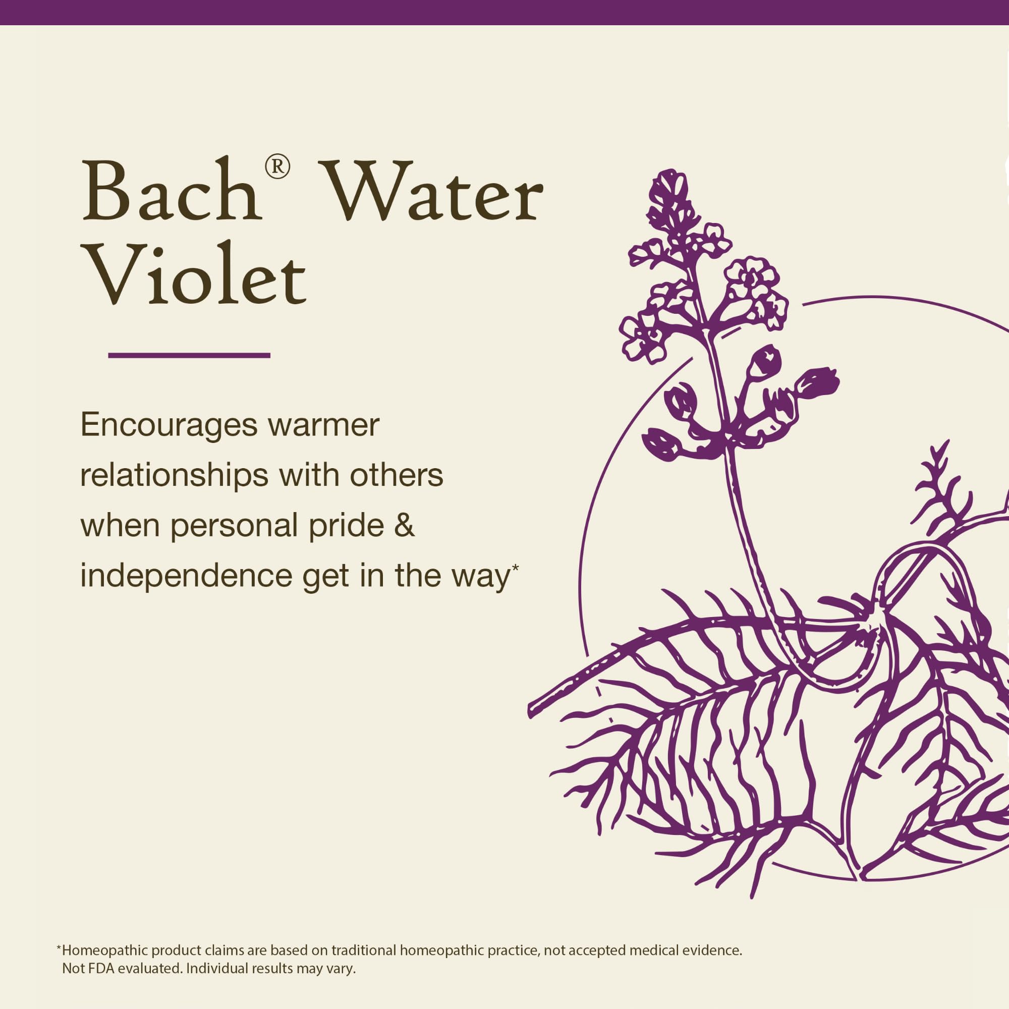 Bach Original Flower Remedies, Water Violet - Connect with Others - Natural Homeopathic Flower Essence for Emotional Balance - V