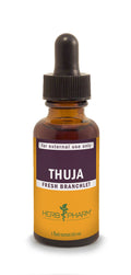 Herb Pharm Thuja Branchlet Liquid Extract - 1 Ounce (DTHUJA01)