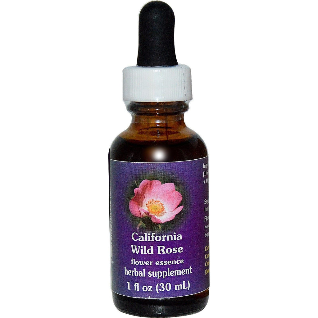 Flower Essence FES Quintessentials California Wild Rose Supplement Dropper - 1 fl oz