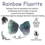 NUKAYAI 2Pcs Rainbow Fluorite 1.8-2.2 Large Raw Crystals Rocks Rough Stones Healing Crystal for Cabbing DIY Wicca Reiki Decorati