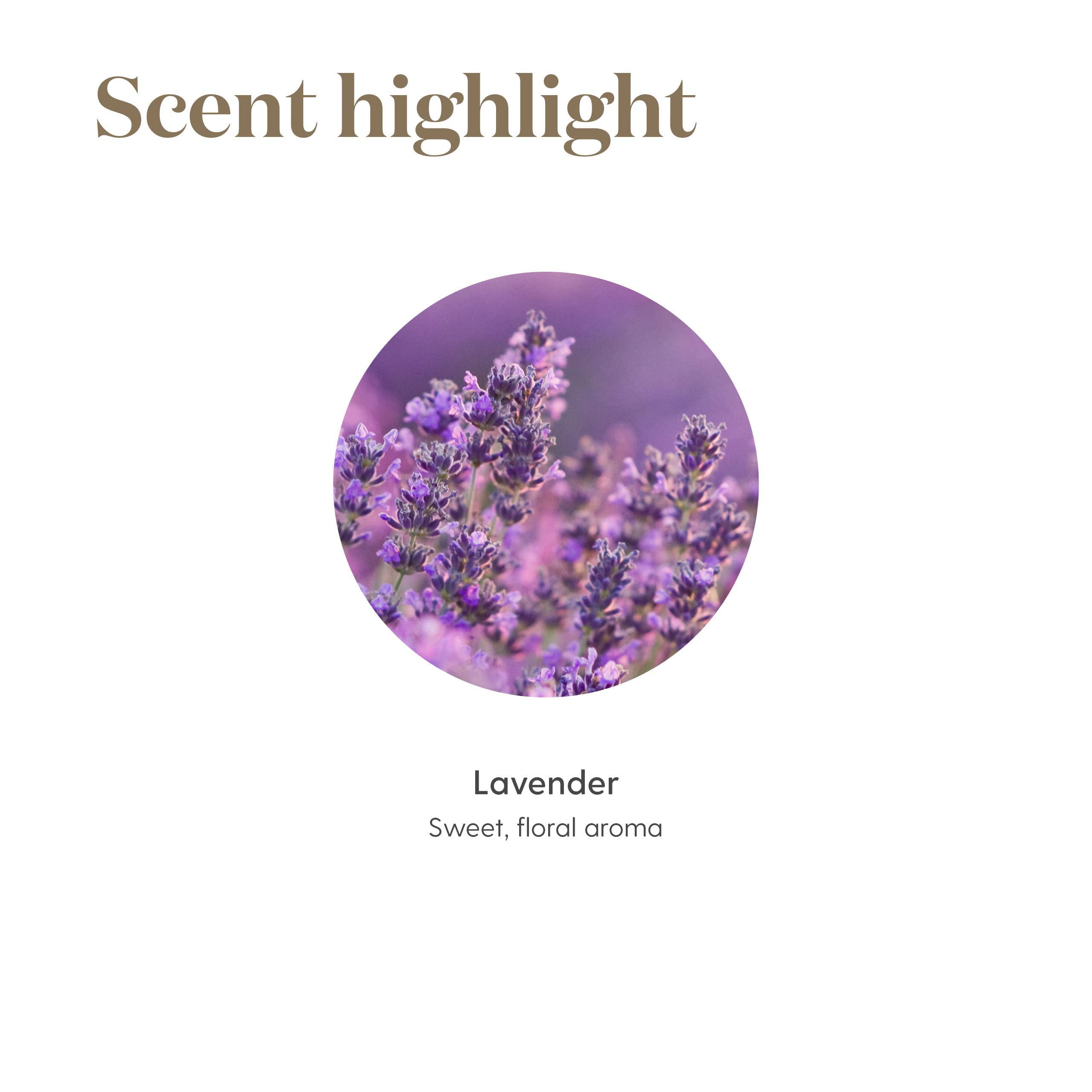 Lavender Essential Oil by Young Living, 15 Milliliters, Topical and Aromatic