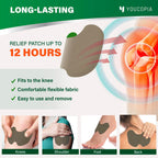 YOUCOPIA Knee Relief Heat Patches: 36 Count Natural Herbal Relieving Plaster for Long Lasting Muscle and Joint Relief - Mugwort