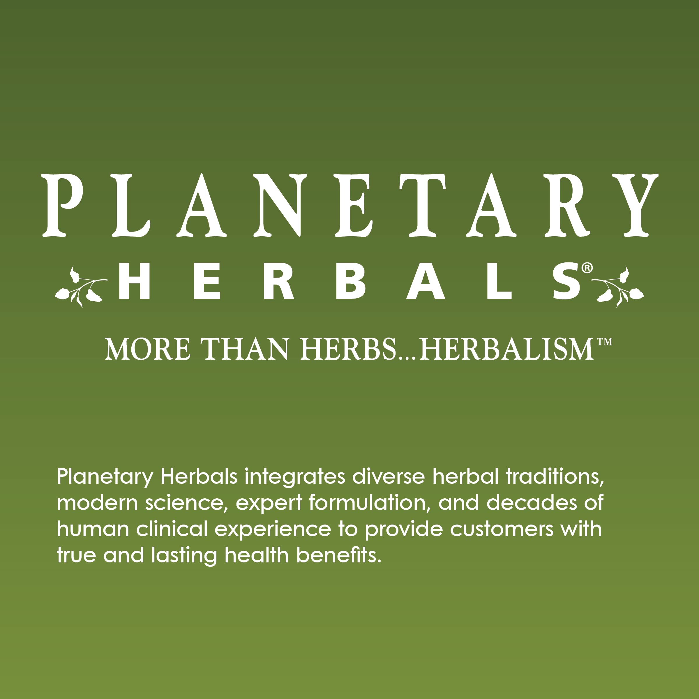 Planetary Herbals Slippery Elm Lozenges, Herbal Throat Support, 24 Lozenge
