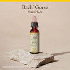 Bach Original Flower Remedies, Gorse (Non-Alcohol Formula) - Have Hope - Natural Homeopathic Flower Essence for Emotional Balanc