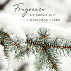 Thymes Pura 4 Diffuser Kit - Smart Home Fragrance Diffusers for Home - Includes Pura Air Freshener Device + 2 Pura Refills (Fras