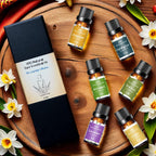 Essential Oils for Laundry | 100% Pure Therapeutic Grade Aromatherapy Essential Oil Set - Top 6 | Dryer Balls, Diffusers, Soaps,