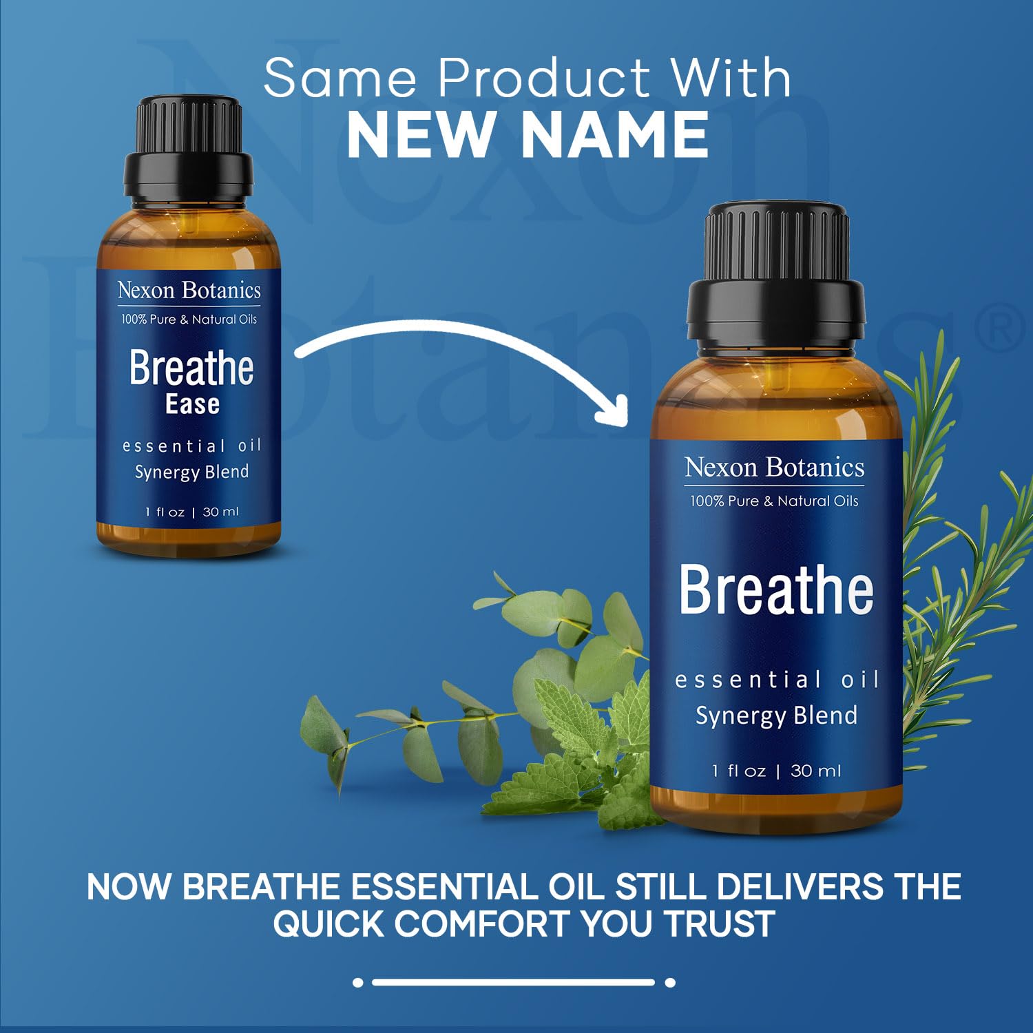 Breathe Essential Oil Blend 30 ml - Breath Sinus Relief with Menthol Oils - for Humidifiers, Diffusers, and Aromatherapy - Nexon