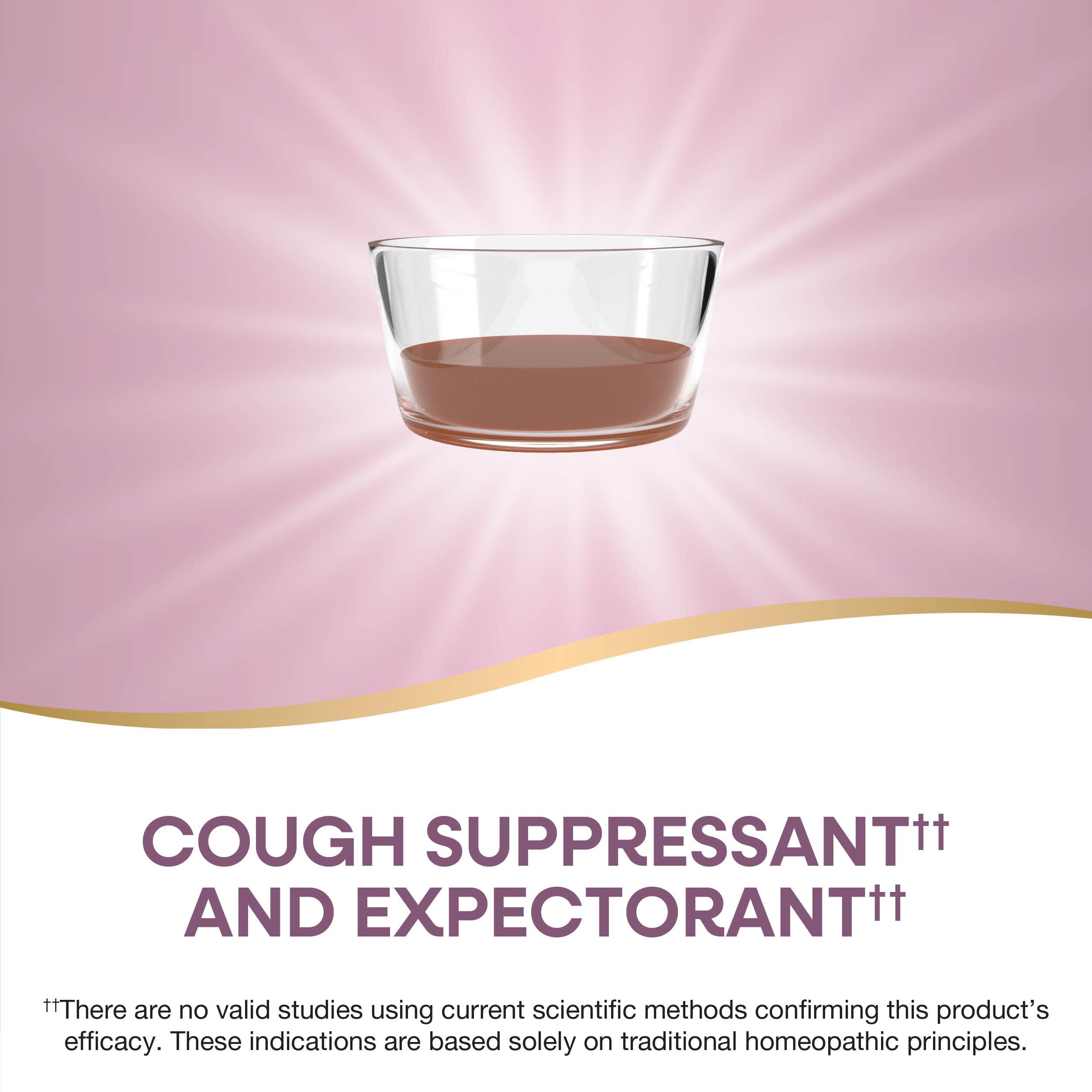 Natures Way Boericke & Tafel Daytime Cough & Bronchial Syrup, Cough Suppressant & Expectorant, Non-Drowsy, 8 Fl. Oz