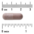Full Spectrum Black Currant