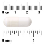 L-Ornithine - Free Form