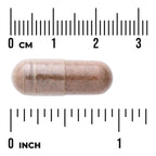 Herbal Urinary Care - Featuring Cranberry