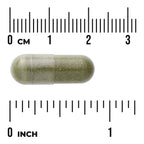 Full Spectrum Spinach Leaf