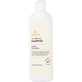 Tea Tree Oil Shampoo