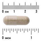 Sleep Essentials Includes GABA and Melatonin - 2 Pack
