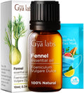 Gya Labs Fennel Essential Oil Diffusers - Fennel Seed Oil for Skin - Fennel Oil for Aromatherapy Skin Candles Making - Sweet Pep