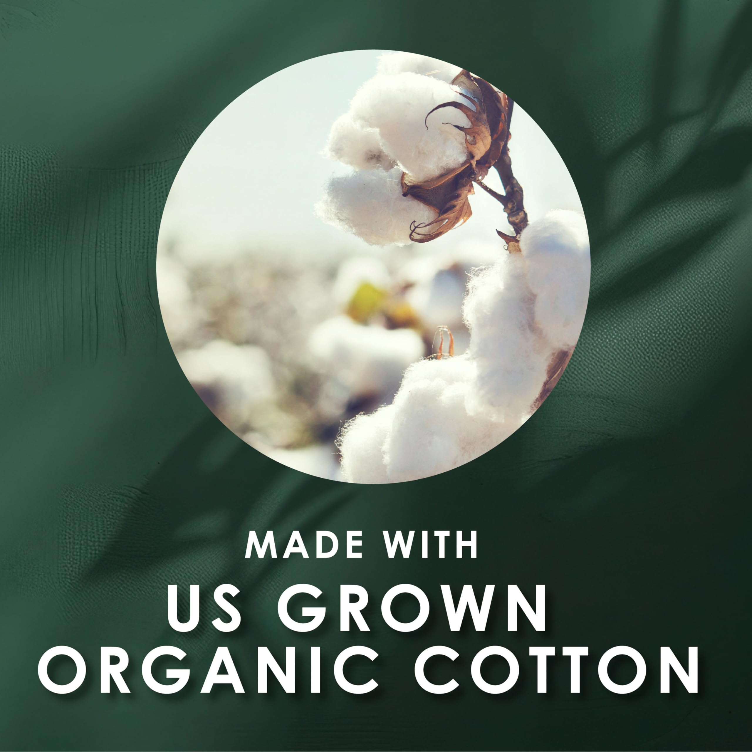 L. Organic Cotton Tampons - Regular 42 Count x 2 Packs (84 Count Total) (Packaging May Vary)