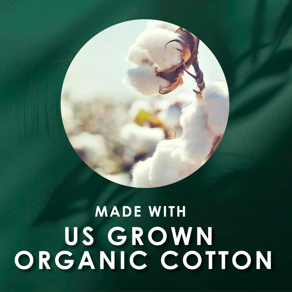 L. Organic Cotton Tampons - Regular 42 Count x 2 Packs (84 Count Total) (Packaging May Vary)