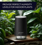 Humidifier Erie 250ML, Black