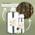 Nature Packaged Balsam Fir Essential Oil (2lbs) - Direct from Our Farm Partner in Canada - Essential Oils for Home, Humidifier,