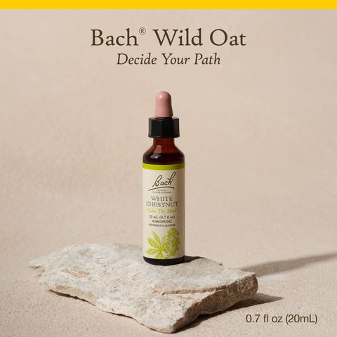 Bach Original Flower Remedies, Wild Oat for Deciding Life's Path, Natural Homeopathic Flower Essence, Holistic Wellness and Stre