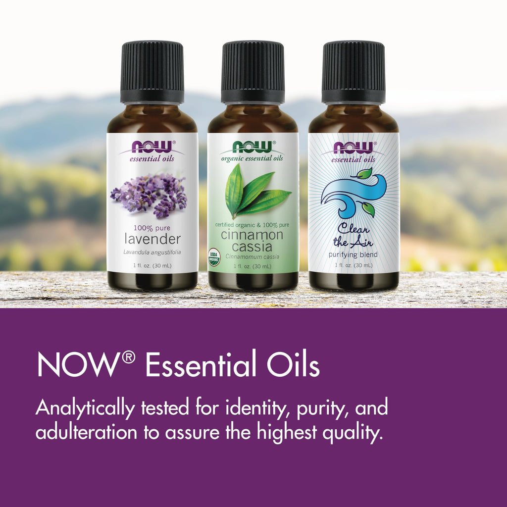 NOW Essential Oils, Sugar Plum Oil Blend, 1 fl. oz.