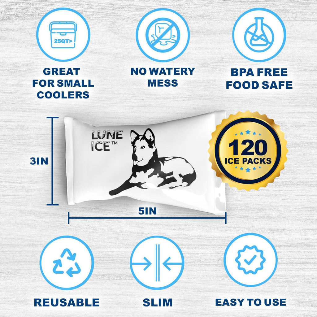Ice Pack Bulk-Dry Ice for Shipping Frozen Food-Lunch Box Ice Packs-30 Pounds-48+Hour-Slim 15x12in/5x3in-Reusable ice packs-Freez