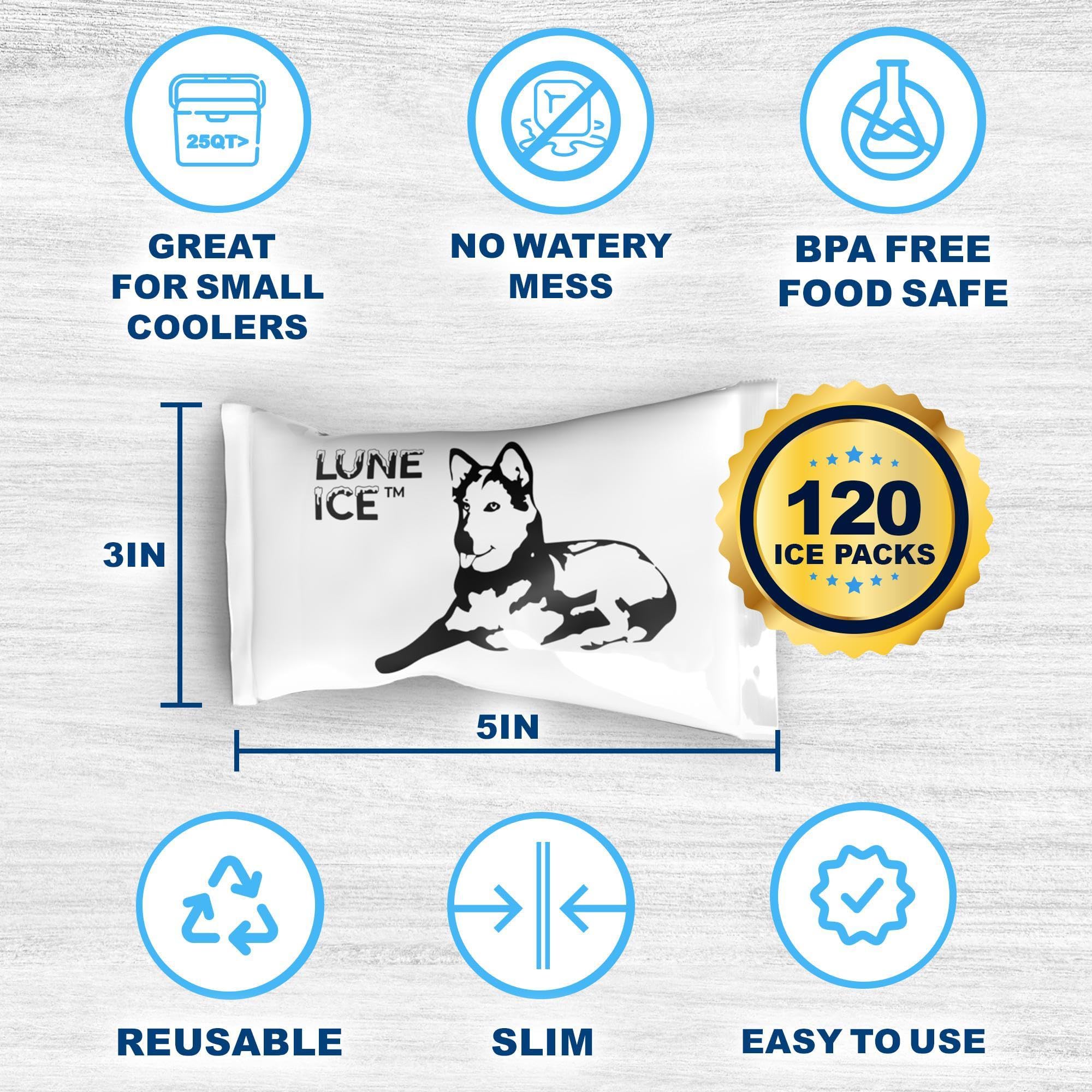Ice Pack Bulk-Dry Ice for Shipping Frozen Food-Lunch Box Ice Packs-30 Pounds-48+Hour-Slim 15x12in/5x3in-Reusable ice packs-Freez