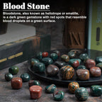 Crocon Bloodstone Tumble Stones Stones Set Pocket Crystal Healing Gemstones Tumble Collection Palm Stone Good Luck Charm Gift Cr
