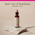 Bach Original Flower Remedies, Star of Bethlehem for Grief and Shock, Natural Homeopathic Flower Essence, Holistic Wellness, Veg