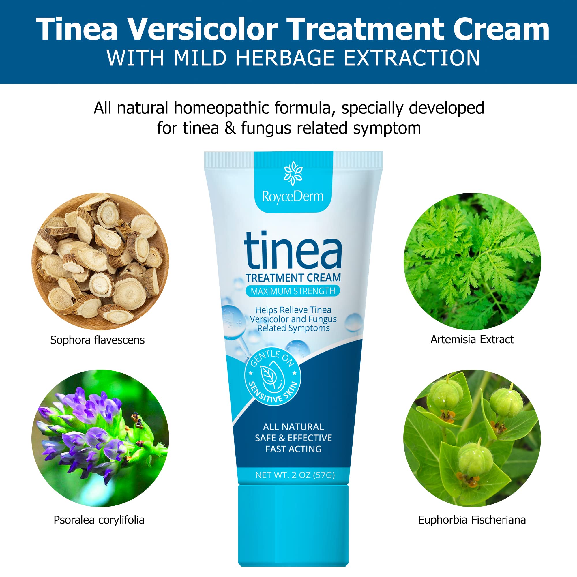 Roycederm Tinea Versicolor Treatment, Athletes Foot Treatment, Ringworm Treatment For humans, Antifungal Cream for Tinea Versico