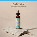 Bach Original Flower Remedies, Vine for Motivation, Natural Homeopathic Flower Essence, Holiday Gift for Him or Her, Vegan, 20mL