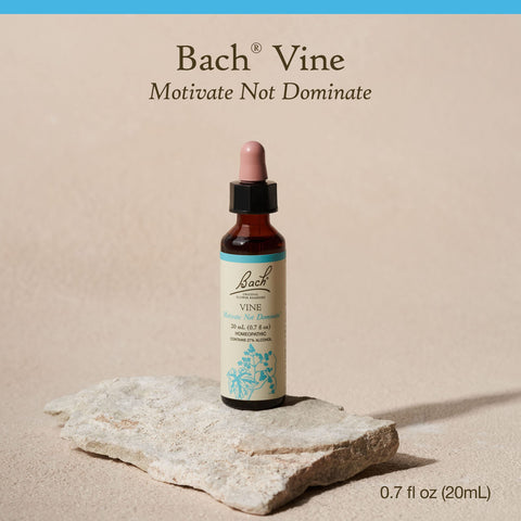 Bach Original Flower Remedies, Vine for Motivation, Natural Homeopathic Flower Essence, Holiday Gift for Him or Her, Vegan, 20mL