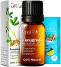 Gya Labs Fenugreek Essential Oil for Skin - 0.34 Fl Oz - 100% Pure Natural Fenugreek Oil for Hair, Diffuser, Candles Making Arom