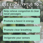 MOXE Eucalyptus Essential Oil Nasal Inhaler, Sinus & Congestion Relief, Daily Relaxation, Stress Relief, Therapeutic No-Mess Aro