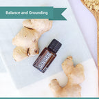 Natures Fusions Ginger Root, 100% Pure and Natural Essential Oils, Undiluted, Therapeutic Grade for Aromatherapy and Topical Us