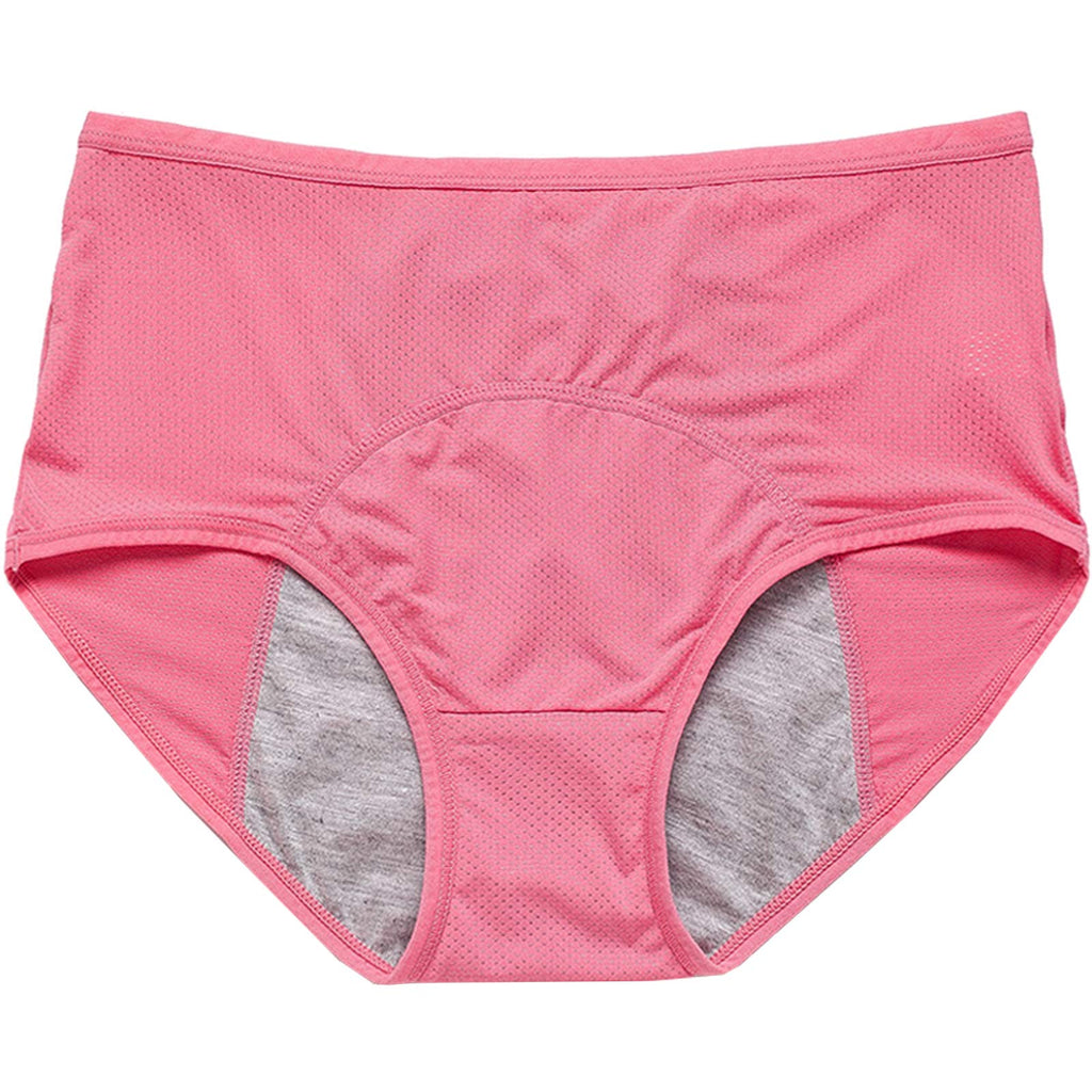 Hellove Mesh Period Panties Menstrual Incontinence Leak Proof Protective Briefs(H-4-5-1, Large)