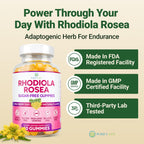 Sugar-Free Rhodiola Rosea Gummies (1500mg/Serving) Adaptogenic Rhodiola Rosea Supplement & Cortisol Blocker for Performance, Sta