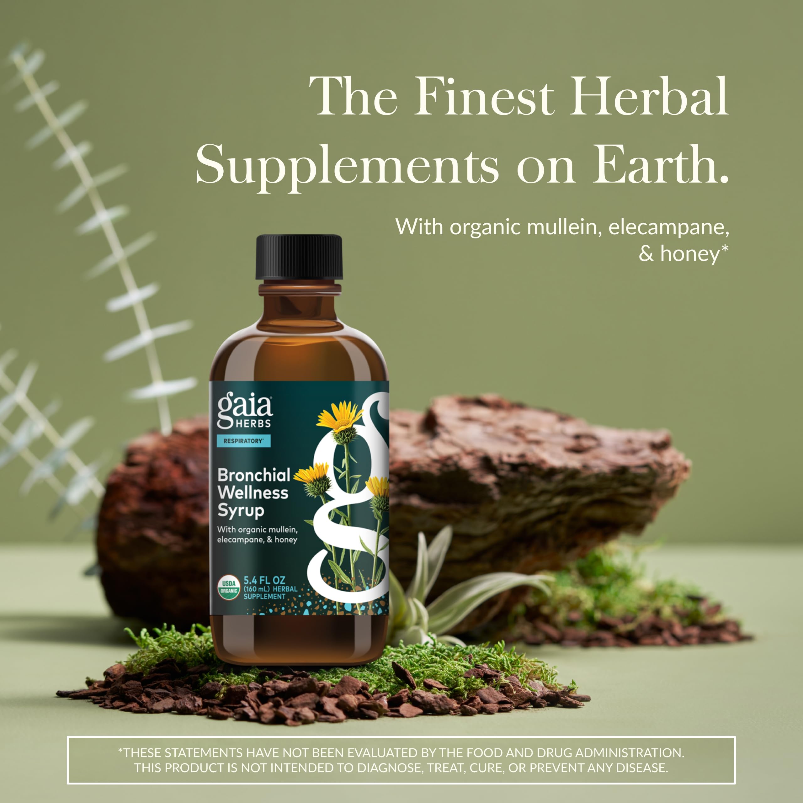 Gaia Herbs Bronchial Wellness Syrup - Immune Support Supplement to Help Maintain Lung Health and Help Provide Comfort for Occasi